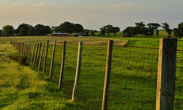 Building Fence